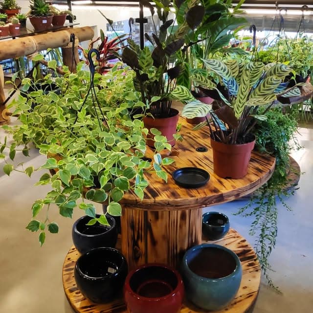 Mesa de carretel com plantas penduradas e vasos esmaltados no Espaço Garden