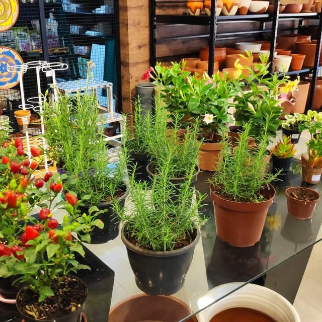 Bancada de temperos e flores, com vasos de barro empilhados na prateleira do fundo